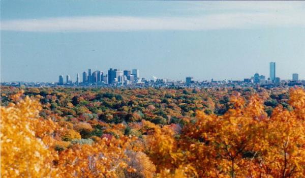 Boston Skyline