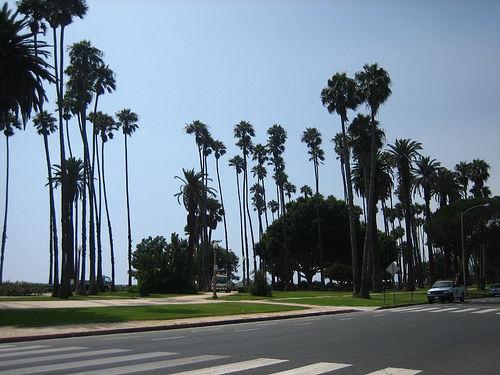  La plage de Santa Monica et de la jetée