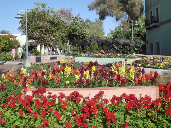 Scottsdale Waterfront