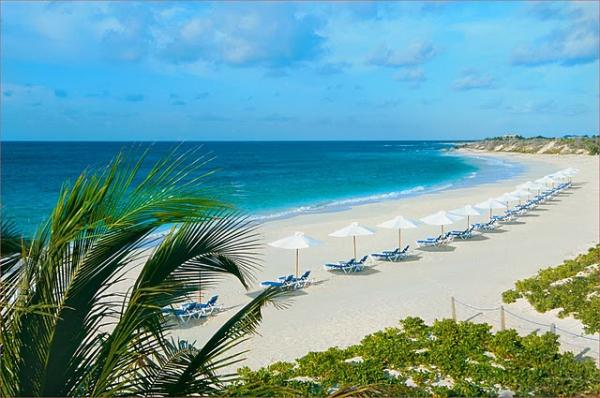 Santa Lucia (Camaguey) palm tree sailboat beach