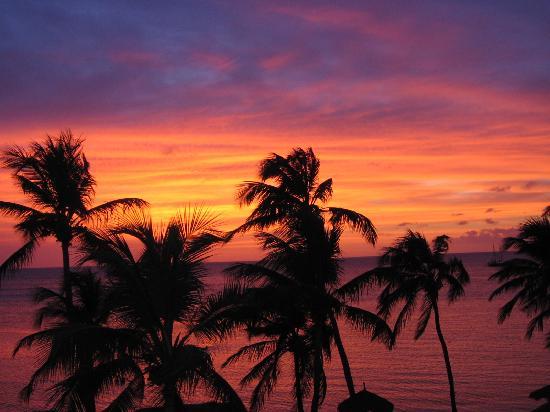 Aruba Beaches