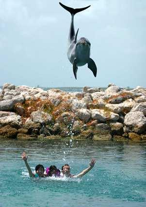 piscines Nassau