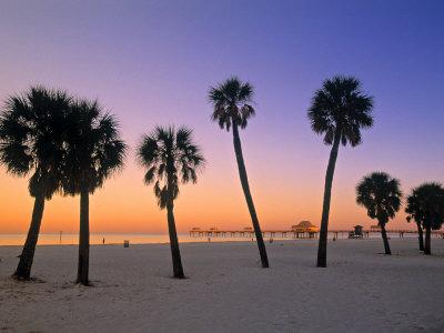 Clearwater beach hut