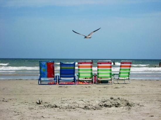Cocoa Beach five chairs and a seagull by the sea