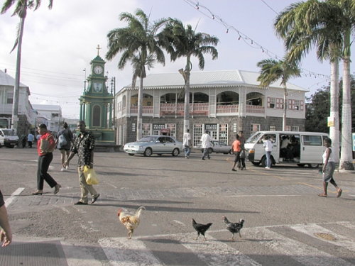 La péninsule de St Kitts