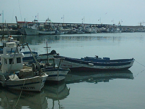 Estepona marina