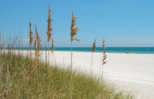 Treasure Island beach