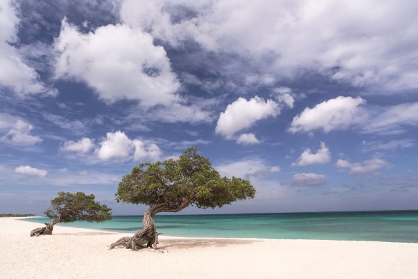 The Ritz Carlton Aruba exterior