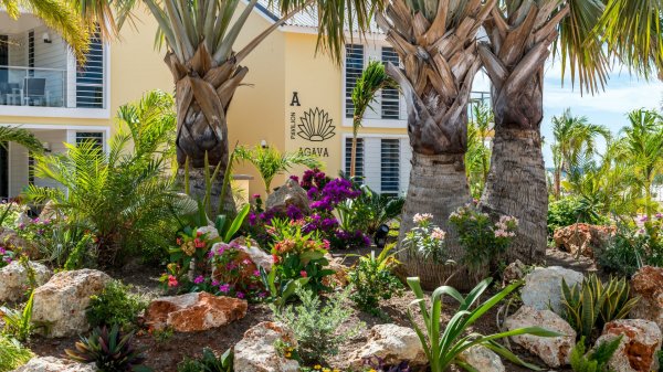 Delfins Beach Resort Bonaire extérieur