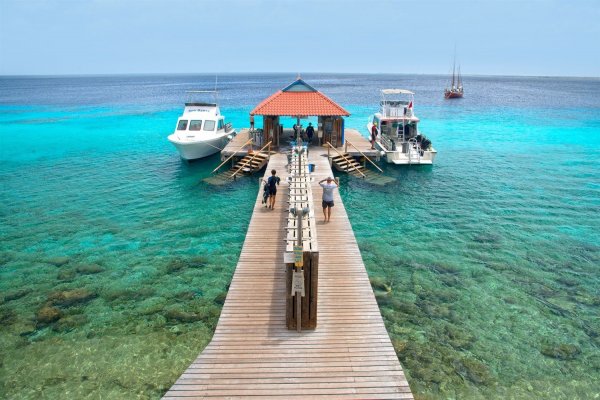 Divi Flamingo Beach Resort and Casino beach
