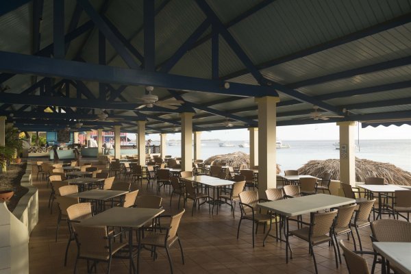 Divi Flamingo Beach Resort and Casino beach