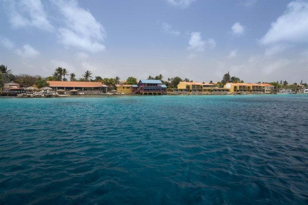 Divi Flamingo Beach Resort and Casino beach