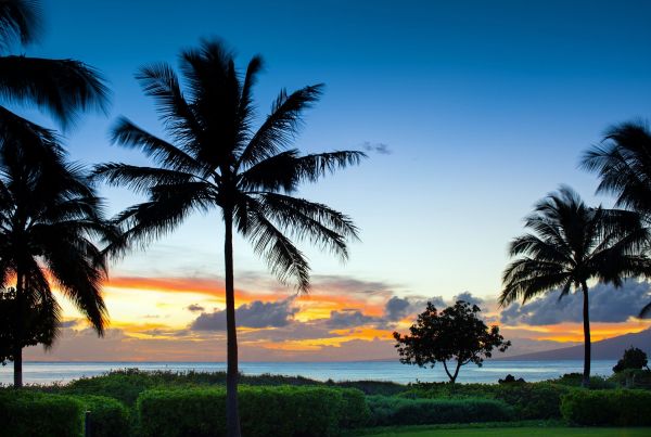 The Westin Nanea Ocean Villas exterior