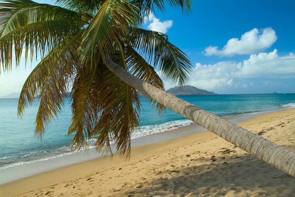 Montpelier Plantation and Beach extérieur