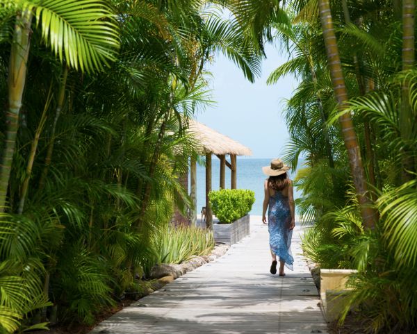 Paradise Beach Nevis extérieur aérienne