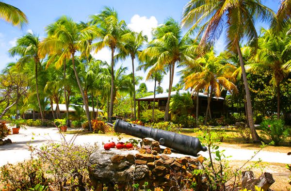 Palm Island Resort The Grenadines extérieur aérienne