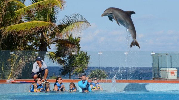 Grand Sirenis Mayan Beach Hotel & Spa exterior