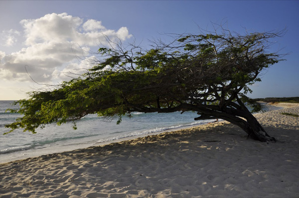 Gold Coast Aruba exterior