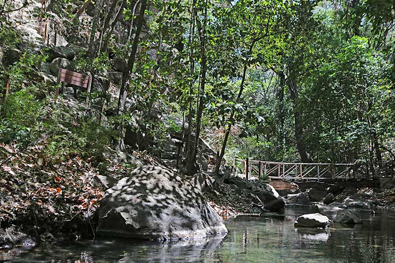 Rio Perdido zip line