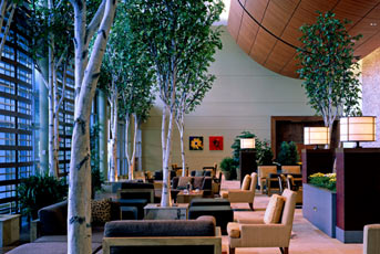 Westin Waterfront lobby