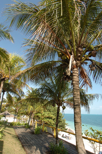 Celuisma Maya Caribe beach