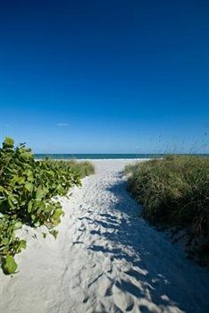 International Palms Resort Cocoa Beach surf shop