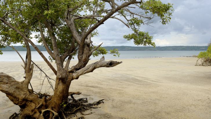 Andaz Peninsula Papagayo Resort exterior