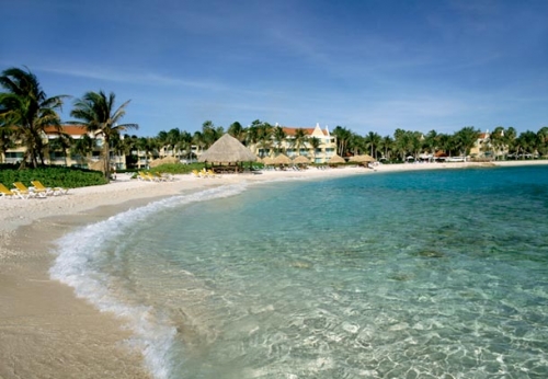 Curacao Marriott Beach Resort pisci 