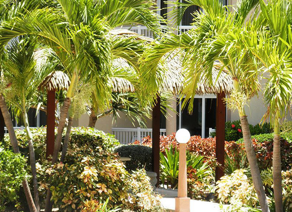 Holiday Inn Grand Cayman exterior