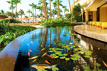 Sheraton Waikiki lobby