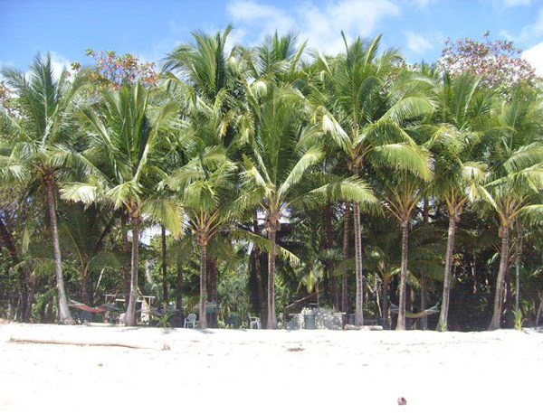 Cabo Blanco hotel lobby