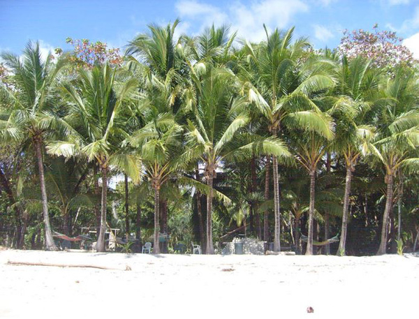 Cabo Blanco hotel hall d entrée