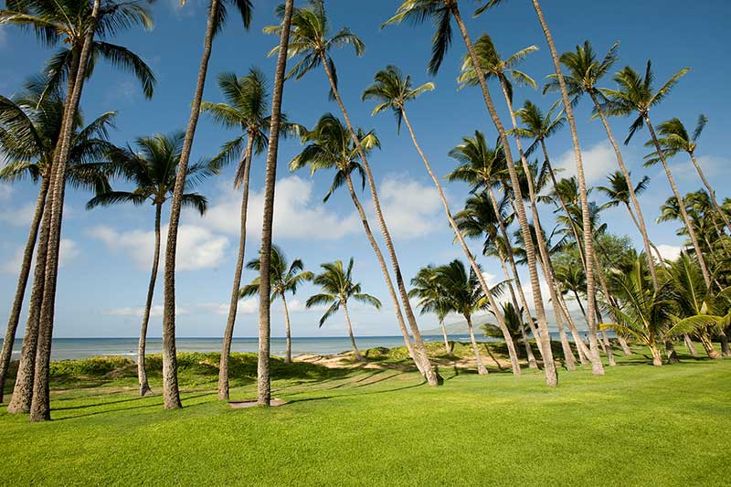 Hale Kai O Kihei extérieur