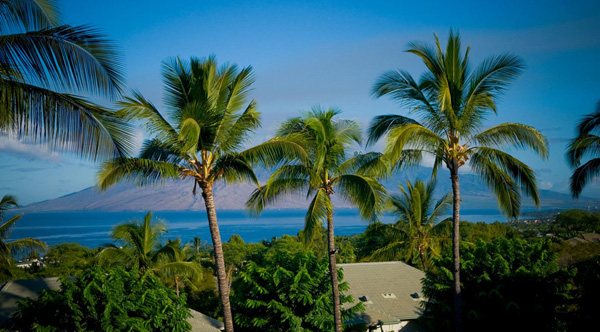 Hotel Wailea Maui extérieur