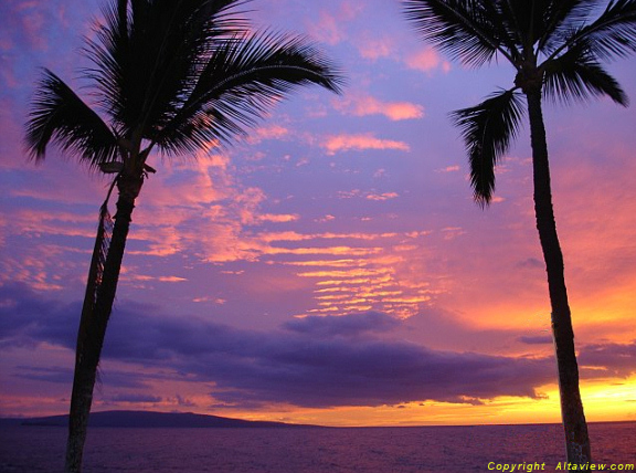 Kihei Surfside Condo exterior 2