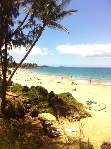 Maui Vista Condo extérieur