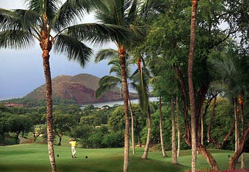 Wailea Beach Marriott Resort And Spa plage