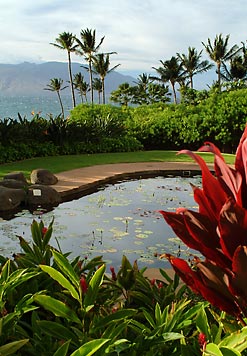 Wailea Beach Marriott Resort And Spa plage