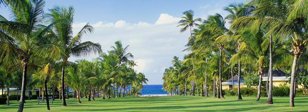 Nisbet Plantation Beach Club plage