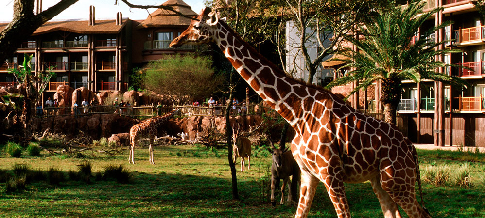 Disneys Animal Kingdom Lodge exterior