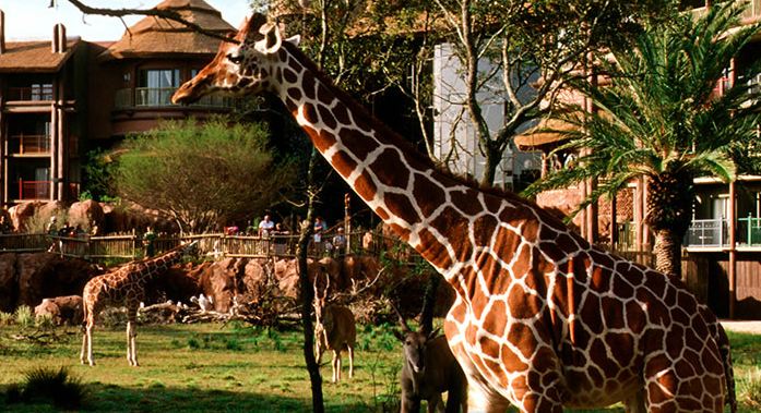 Disneys Animal Kingdom Villas-Jambo House exterior