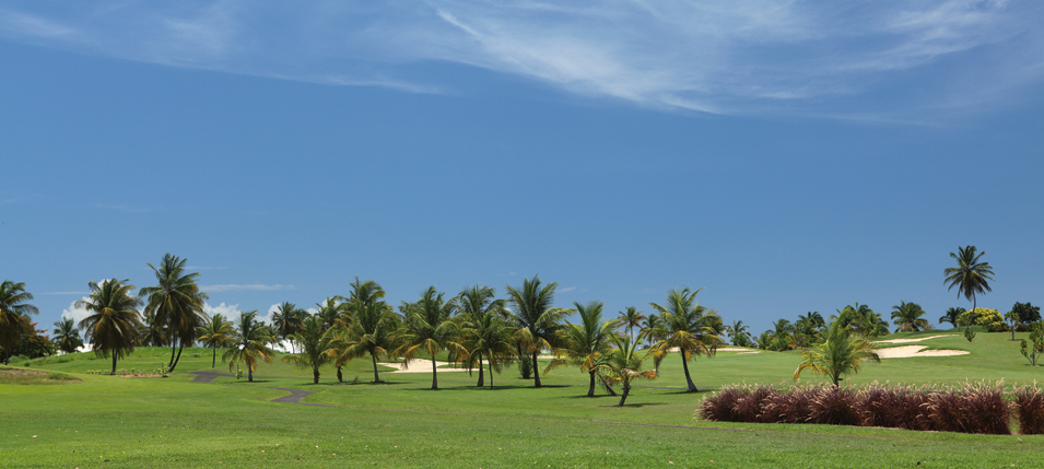 Bwa Chik Hotel And Golf golf