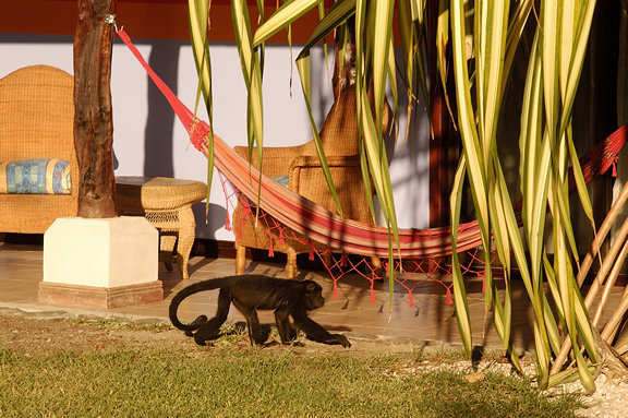 Bahia Del Sol Beachfront Hotel exterior