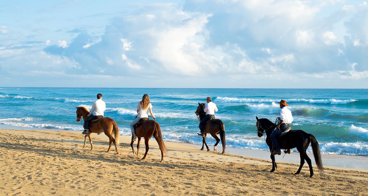 Excellence El Carmen plage