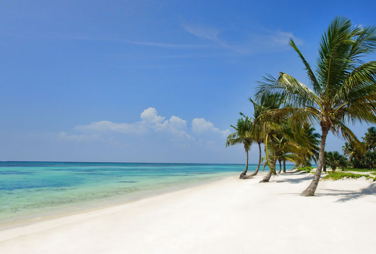 The Westin Punta Cana Resort and Club extérieur