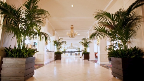 Don Cesar Beach Resort extérieur