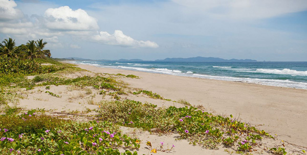 Indura Beach And Golf Resort beach