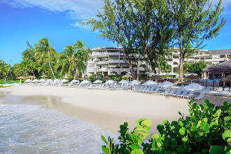 Bougainvillea Barbados