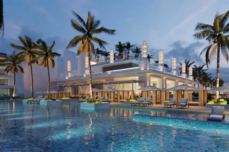 Princess Senses The Mangrove