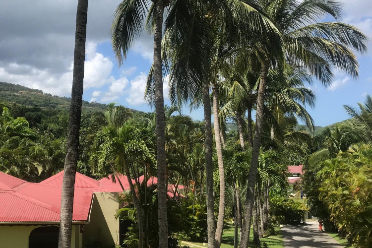 Habitation Grande Anse